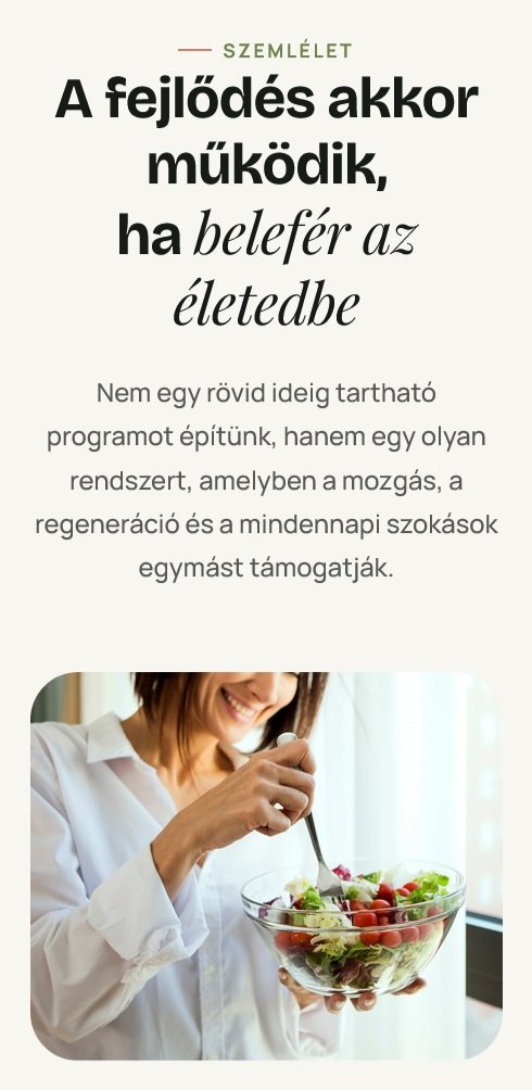 Mobilnézet